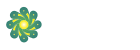 IB-NDT